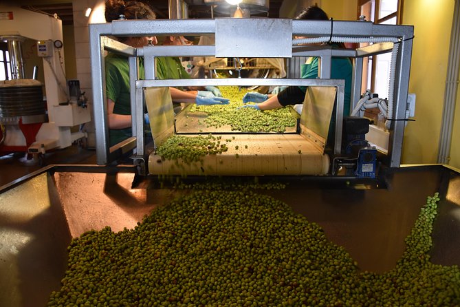 Olive Oil Tasting Tour - Where the tour starts, and what to expect in Epano Archanes