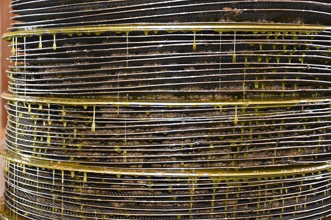 Olive Oil Tasting Tour - First cold pressed vs cold extraction by centrifuge, explained in plain terms