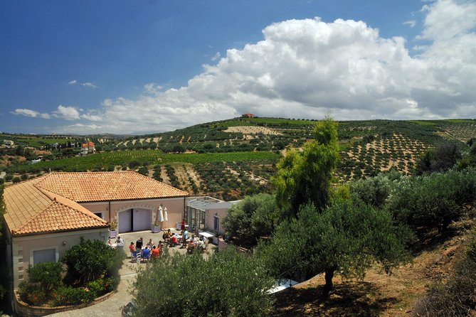 Olive Oil Tasting Tour - Private tour value: small group energy without the big tour stress