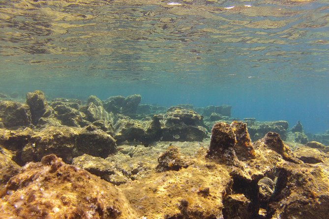 Olous – Guided Snorkelling Excursion to Discover Olous Sunken Ancient City - How the Guide Runs the Snorkel in a Group of Eight