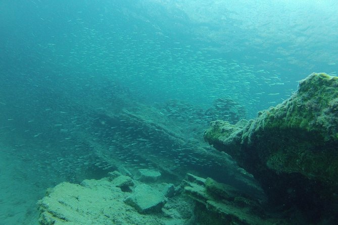 Olous – Guided Snorkelling Excursion to Discover Olous Sunken Ancient City - What You Will See Underwater: road lines, steps, and the city’s outline
