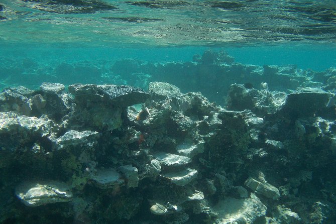Olous – Guided Snorkelling Excursion to Discover Olous Sunken Ancient City - Safety, comfort, and tips if you are nervous
