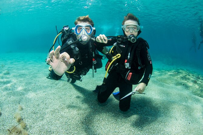 Plakias: Try Scuba Diving first time - Private, from 8 yrs. - Plakias stop: guided route and real marine life spotting