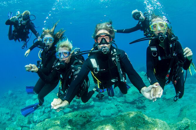 Plakias: Try Scuba Diving first time - Private, from 8 yrs. - Safety and coaching quality: what the instructors do well