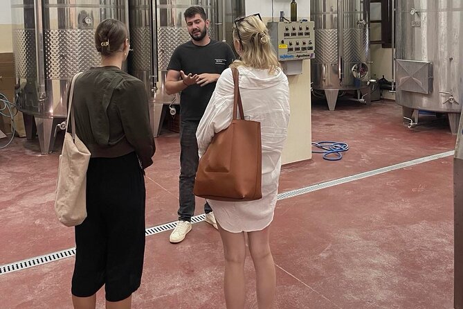 Premium Cretan Olive Oil Tasting, Wine, Raki and Local Food Tour - Transportation and timing: why the 5 to 6 hours feels balanced