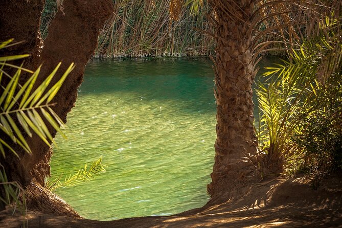 Preveli Beach and Damnoni Beach Full-Day Trip From Chania - Plakias lunch and the return through Kotsifou Gorge