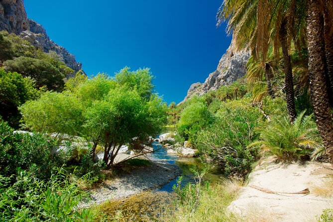 Preveli Beach & Palm Forest :Full-Day Tour with Lunch Box - Lunch Box Included: Simple Fuel for Steps, Sun, and Salt