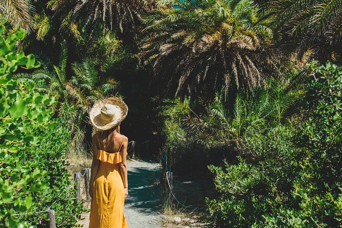 Preveli Beach & Palm Forest :Full-Day Tour with Lunch Box - The Photo Stop: Springs, Cliffs, and the River Story