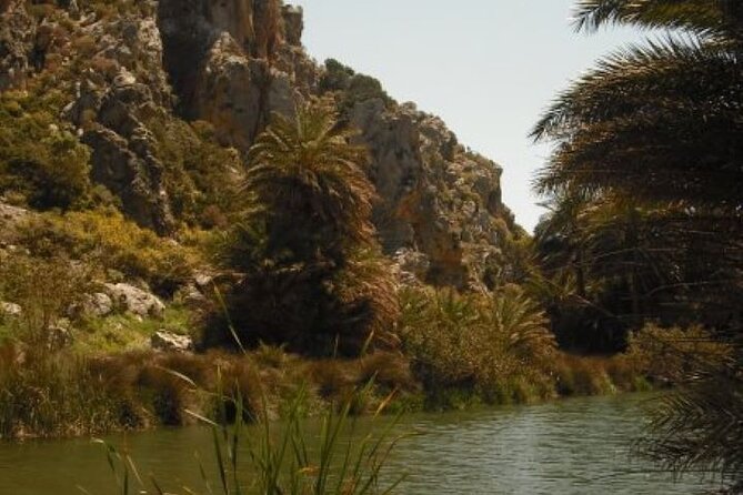 Preveli palm Beach & Damnoni Excursion - Damnoni Beach: Use Your 2 Hours for Swimming and Quick Food
