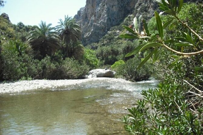 Preveli palm Beach & Damnoni Excursion - The Boat Ride Between Damnoni and Preveli