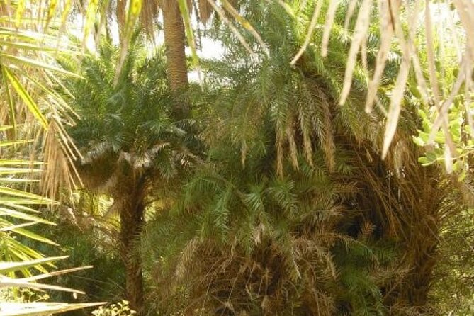 Preveli palm Beach & Damnoni Excursion - What to Pack so the Day Stays Easy
