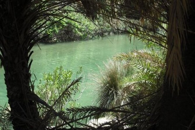 Preveli palm Beach & Damnoni Excursion - Price and What It Really Costs at the Beach