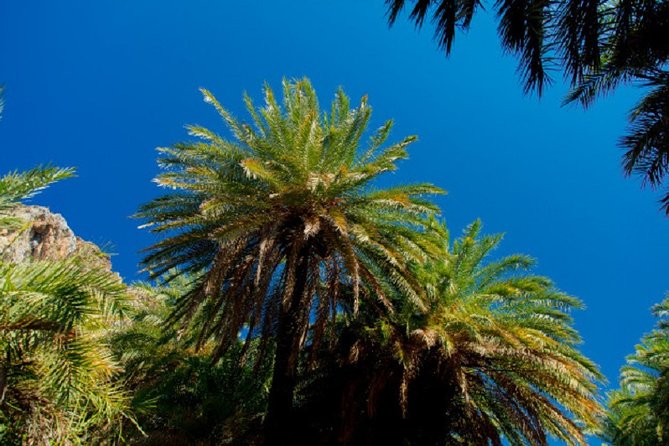 Preveli Palm Beach From Rethimno - The hippie-era vibe, minus the fantasy