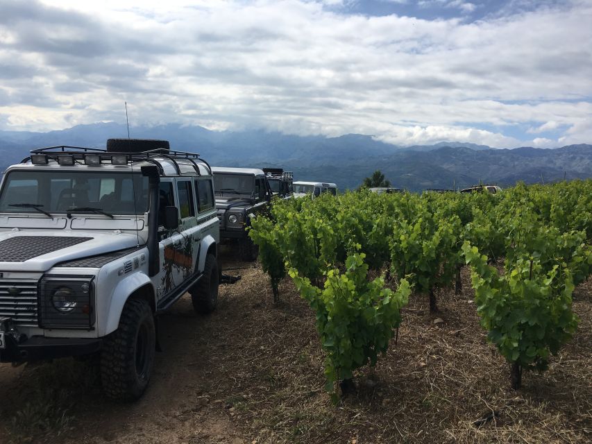 Private Exclusive Manousakis Winery and Vineyard Tour - Key takeaways before you go