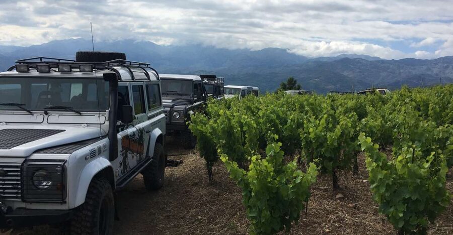 Private Exclusive Manousakis Winery and Vineyard Tour - The Vatolakkos ascent: panoramas that frame the whole wine story