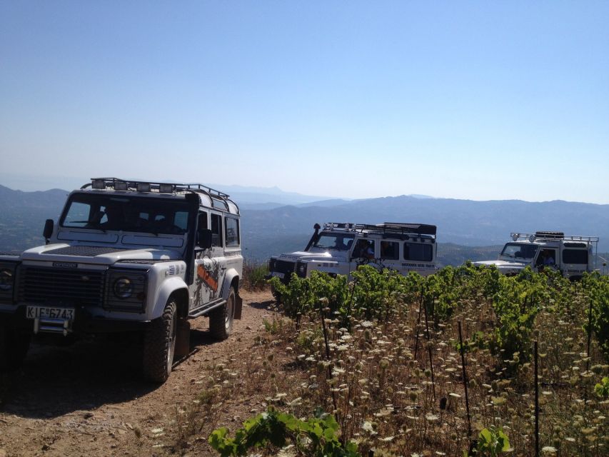 Private Exclusive Manousakis Winery and Vineyard Tour - Off-road vineyard tour: what you should expect on the ground