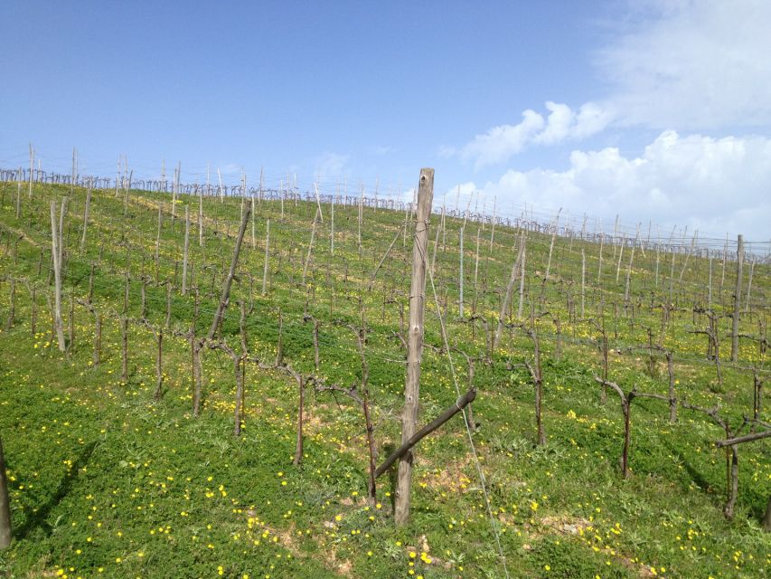 Private Exclusive Manousakis Winery and Vineyard Tour - Traditional village pass-by: scenic driving with no pressure