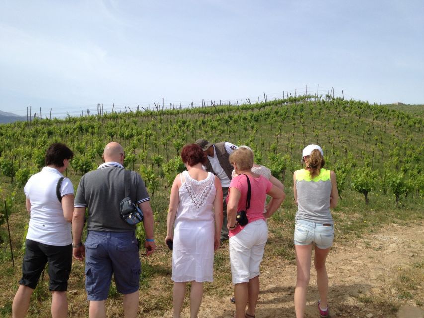 Private Exclusive Manousakis Winery and Vineyard Tour - The five-wine tasting plus two glasses: how to get more out of it