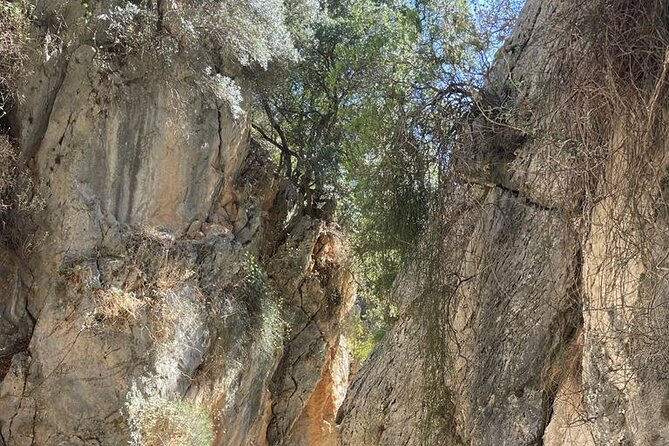 Private Hiking Tour in Imbros Gorge (Chania) - Price and value: what $540.71 per group buys you