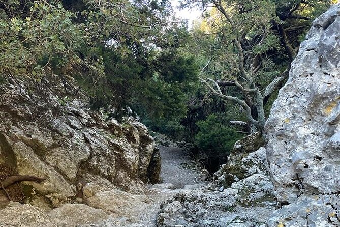Private Hiking Tour in Imbros Gorge (Chania) - Can you add a mountain guide?