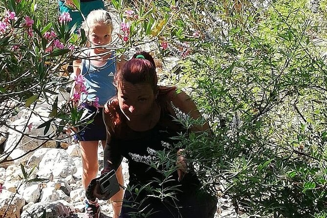 PRIVATE Hiking Walking GORGE nearby Hersonissos CRETE - Wildlife and plant spotting: moments that land without trying too hard
