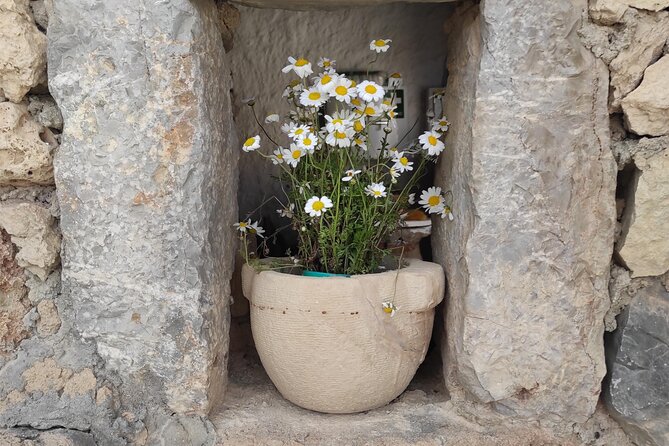 Private History, Sights, and Food Walking Tour of Chania City - Chania in one half day: what the 5-senses approach really means