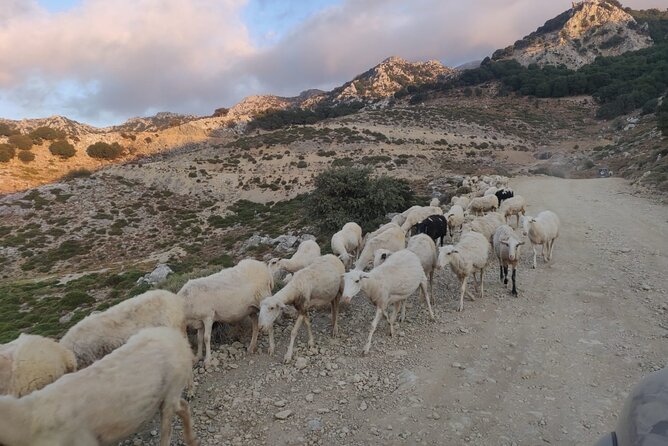 PRIVATE Jeep Safari 4x4 SUNSET (with Dinner) in Mountains CRETE - Dinner details, vegetarian mezes, and what is actually included