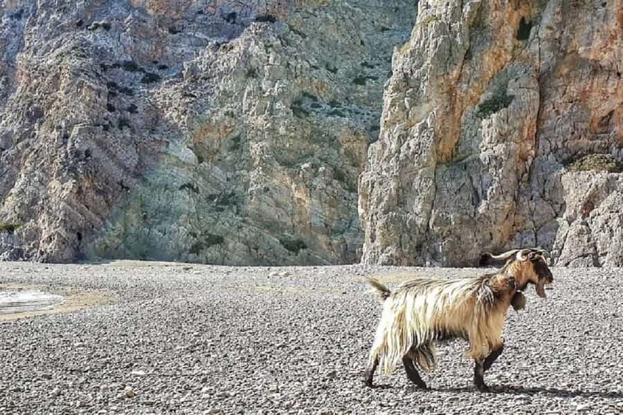 Private Jeep Tour to Agiofarago Beach to swim & Matala walk - South Crete in One Day: Jeep, Monastery, Beach Swim, Matala Walk