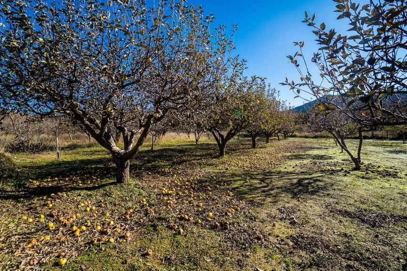 Private Jeep Tour to Psiloritis Mountain & Cooking Lesson - The traditional village scenic views on the way back