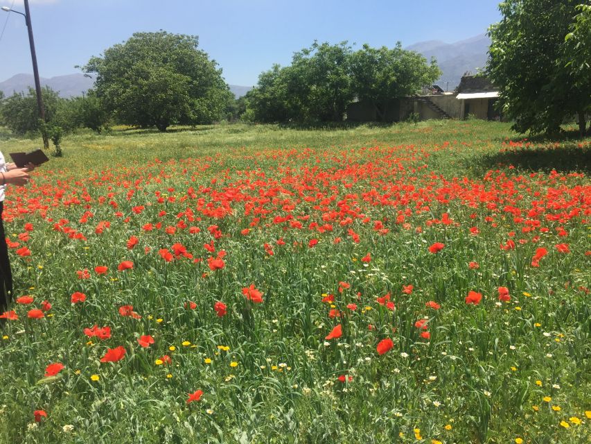 Private-Knossos Palace-Zeus -Villages-Olive Oil Factory - Real Crete in one long day, not a rushed hits-tour