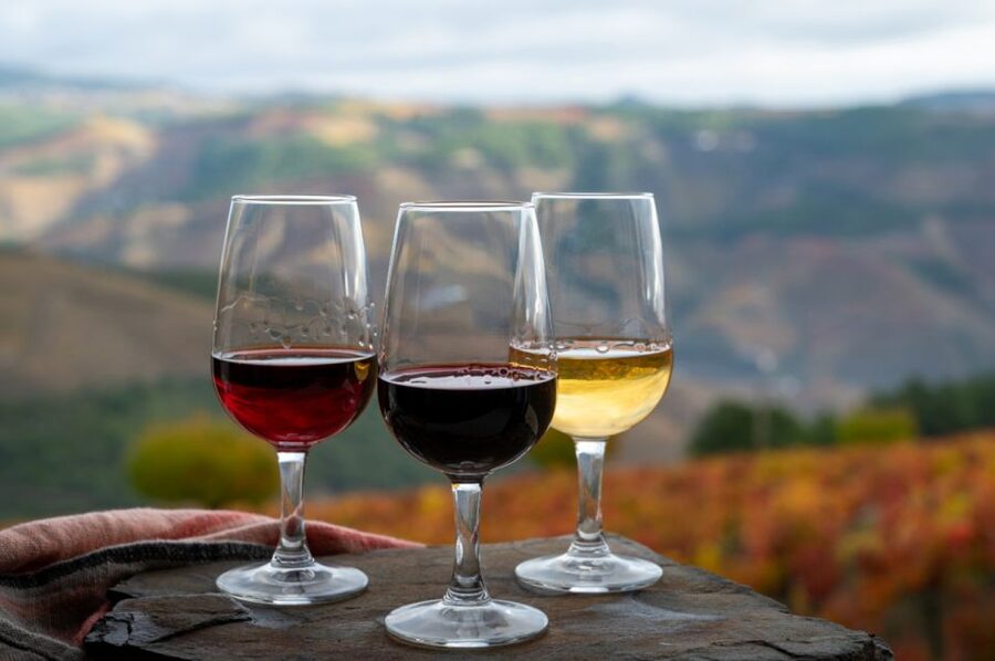 Private Knossos Skip The Line Tour inc. lunch & wine tasting - Who should book this tour in Crete