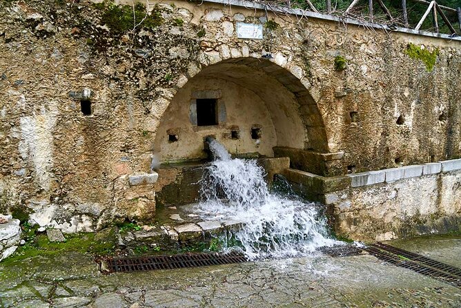 Private Rethymno old town,kourtaliotiko waterfalls& preveli beach - Kourtaliotiko Gorge: fast walk to the waterfalls, cold-water reality