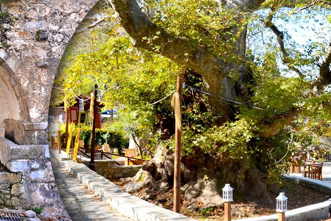 Private Rethymno old town,kourtaliotiko waterfalls& preveli beach - Private tour value: better pacing, less stress, more control