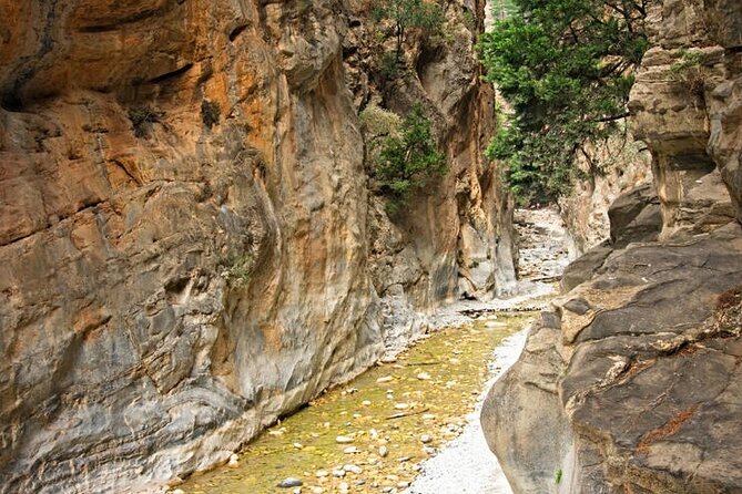 Private Roundtrip Transfer from Chania to Samaria Gorge Park - Private Transfer That Keeps Your Samaria Day on Your Terms