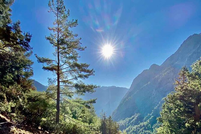 Private Roundtrip Transfer from Chania to Samaria Gorge Park - Agia Roumeli Beach Time: Swim, Eat, Then Prepare for the Ferry