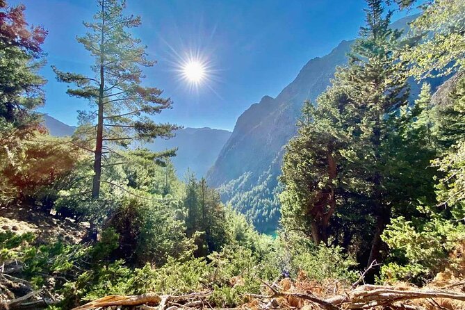 Private Roundtrip Transfer from Chania to Samaria Gorge Park - Price and Value: What This Transfer Costs, Plus the Extra Fees