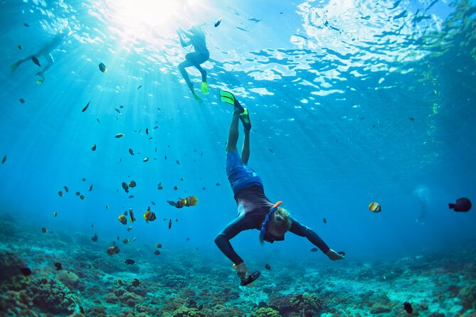 Private Sailing Trip from Chania Venetian Harbor - Snorkeling and swimming tips that match this kind of route