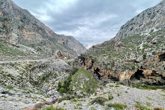 Private South Crete Full-Day Tour-Spili, Kourtaliotiko & Preveli - Preveli Palm Forest: where the river runs to the Libyan Sea