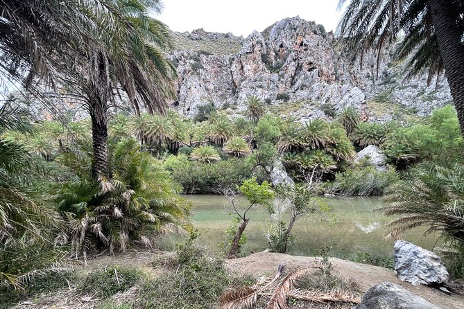 Private South Crete Full-Day Tour-Spili, Kourtaliotiko & Preveli - Kourtaliotiko Gorge: cliffs, vultures overhead, and the waterfall walk