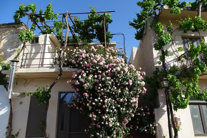 Private Tour-Authentic Villages of Lasithi Olive Oil and Wine - Agios Georgios and the kafenio break in Lasithi Mesa