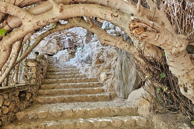 Private Tour Elafonisi Beach with Honey Olive Oil & Wine Tastings - Elos Village Lunch Option: Cretan Food in a Quiet Green Stop