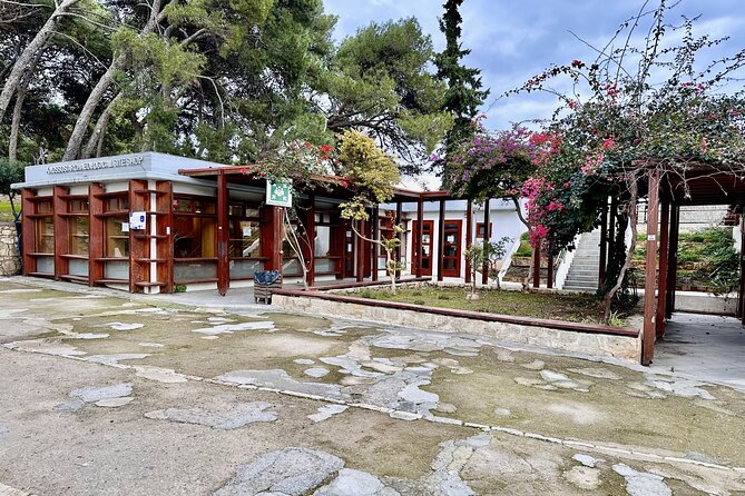 Private Tour of Knossos, Archaeological Museum & Heraklion Town - Knossos tickets, pickup points, and the logistics that can save you time