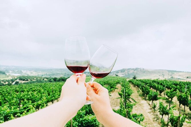 Private Tour: Soap, Olive Oil & Lyrarakis Winery with Lunch - Lunch at the winery: what you should expect