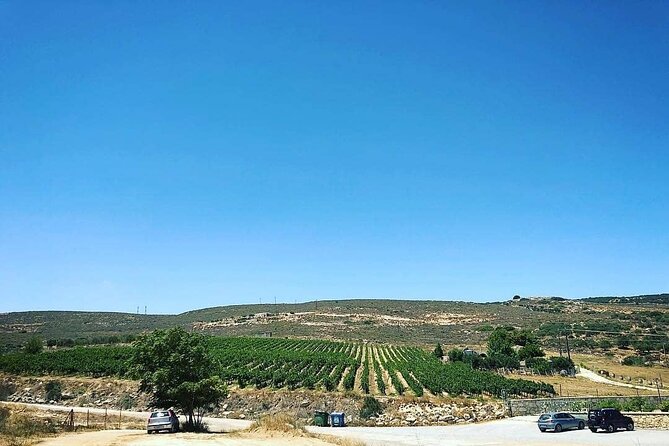 Private Tour: Soap, Olive Oil & Lyrarakis Winery with Lunch - Who this private soap, olive oil, and winery tour is best for