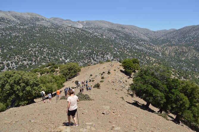 Private Trekking Rouvas Gorge - Rouvas Forest and Ai Giannis: the moment you catch your breath