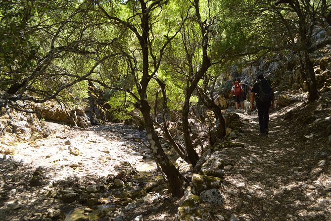 Private Trekking Rouvas Gorge - Who this Rouvas Gorge hike suits best