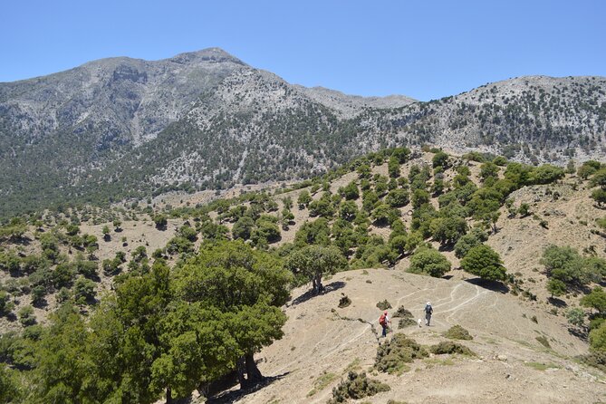 Private Trekking Rouvas Gorge - What to pack and how to prep for a gorge day