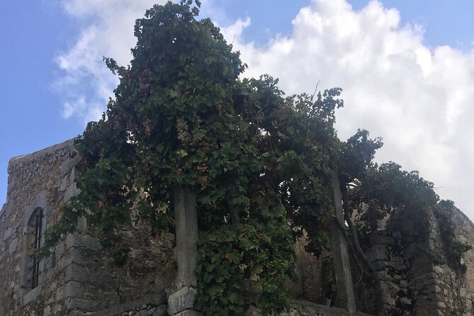 PRIVATE-Winery+Olive Oil Factory-Old Villages-Old Wind Mills - Who This Tour Fits Best, and Who Should Rethink It