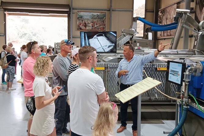 Private Winery Tour with Olive Oil, Honey & Raki Distillery Visit - Getting there: how the private route shapes your day (and why pickup matters)