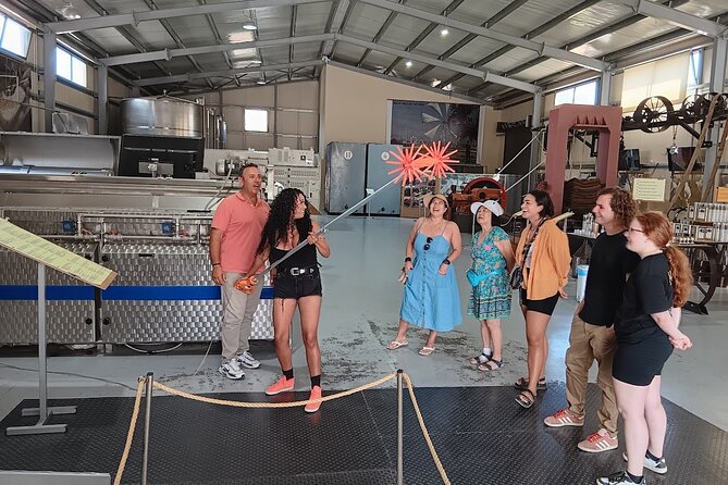 Private Winery Tour with Olive Oil, Honey & Raki Distillery Visit - Peza olive oil tour: cold-pressing and tasting like you mean it